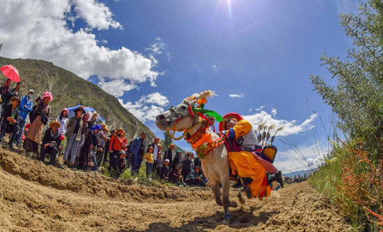 سباق التبت للخيول