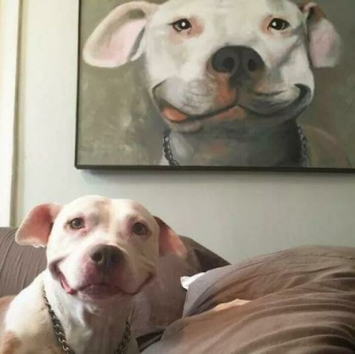 كلب يقلد صورة له