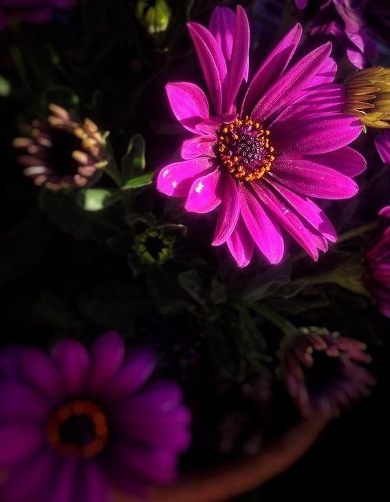 التصوير 2 التصوير 2