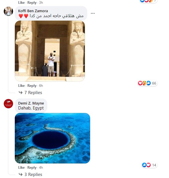 مشاركات المصريين فى التعليقات