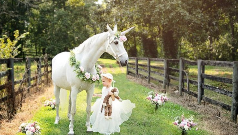 الطفلة أبيجسل والحصان
