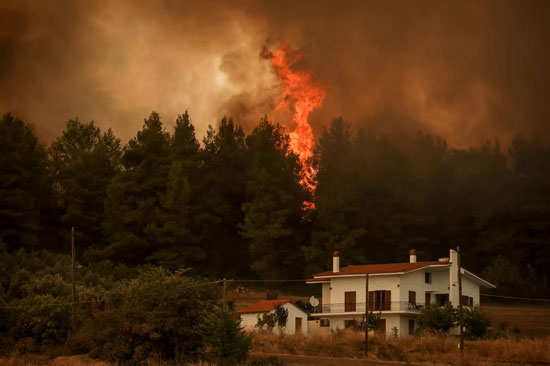 حرائق الغابات فى اليونان (6)