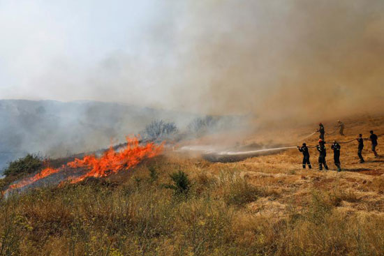 حرائق الغابات فى اليونان (9)