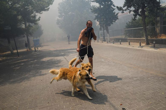حرائق الغابات فى اليونان (11)