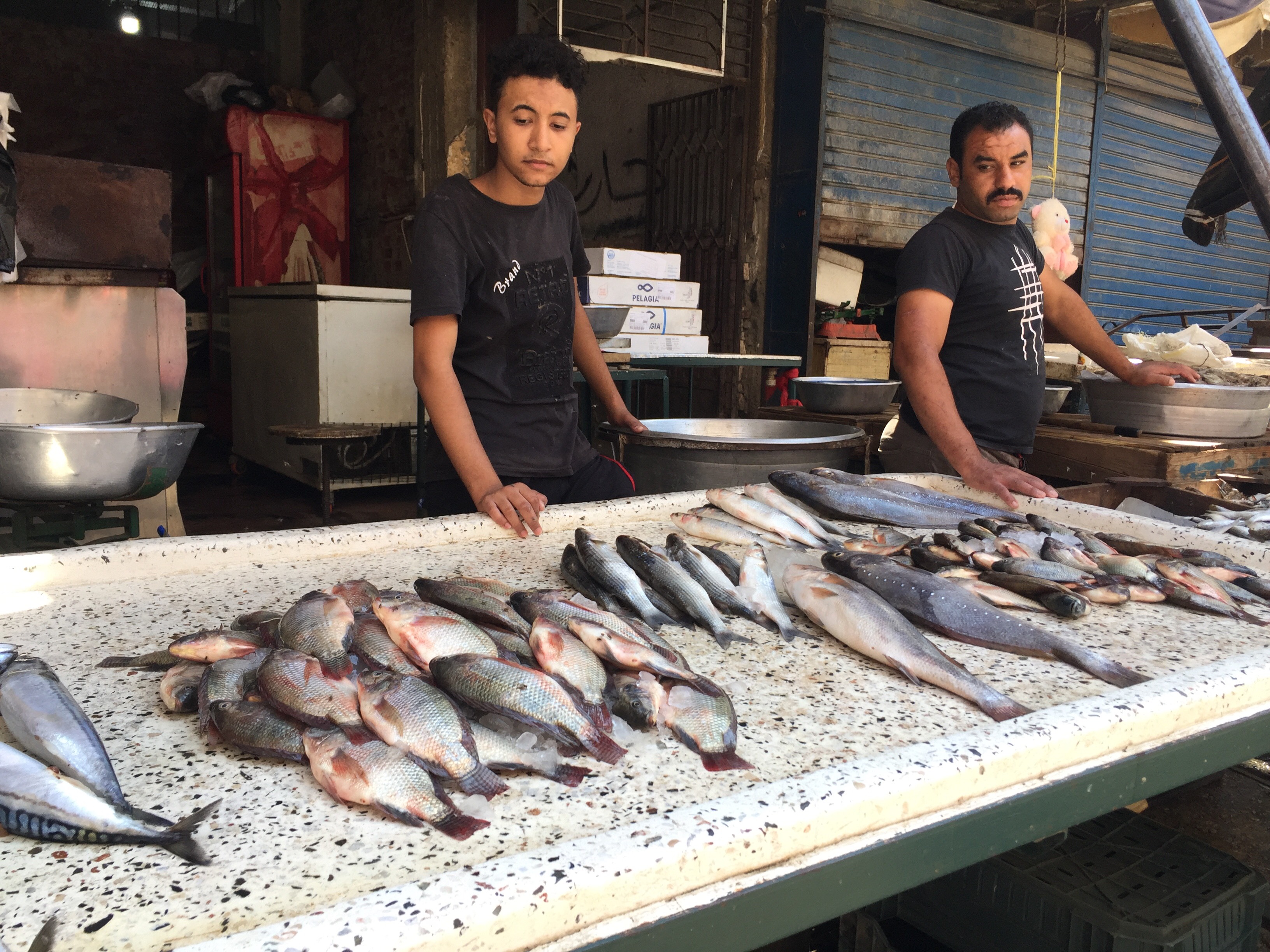 بائعى السمك بسوق بورسعيد للاسماك