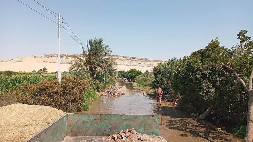 إعادة تأهيل طريق دير القصير fالقوصية بسبب ارتفاع منسوب نهر النيل (8)