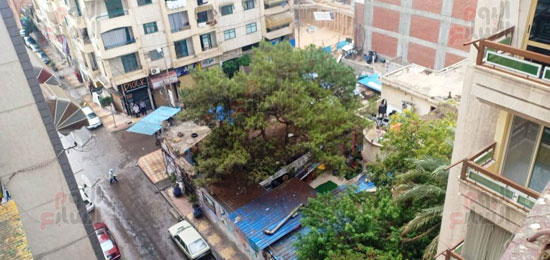 امطار-بالاسكندرية