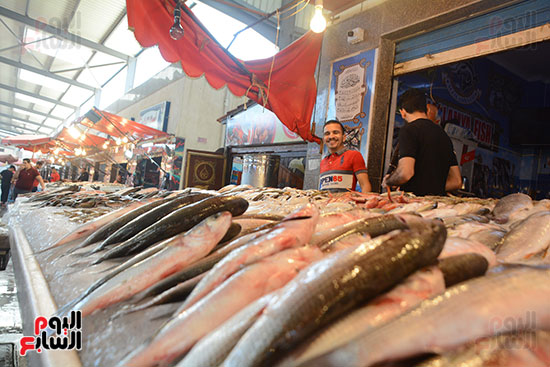 سوق أسماك بورسعيد الحضاري