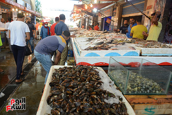 سوق بور سعيد للأسماك