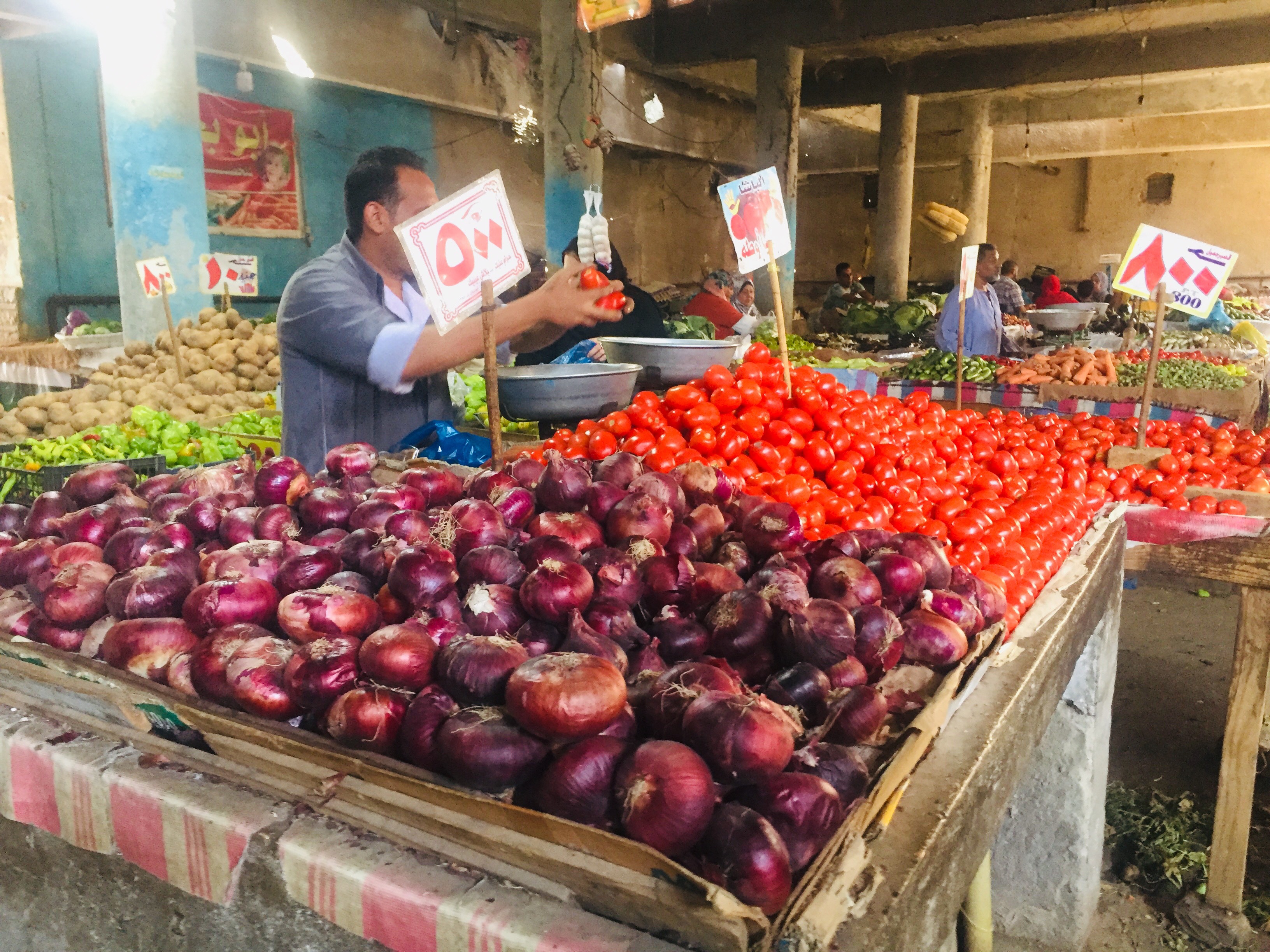 تراجع أسعار الخضروات بأسواق الإسماعيلية