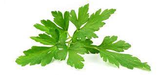 What are the benefits of parsley