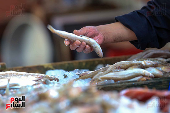 سوق السمك بالمنيب (2)