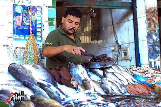 تجهيز السمك للبيع
