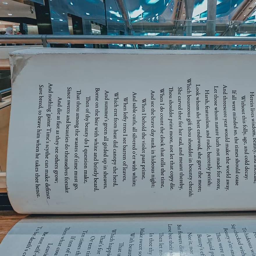 أريكة شكسبير أهم مقتنيات مكتبة الإسكندرية لتوجيه رسالة بأهمية الكتاب (2)