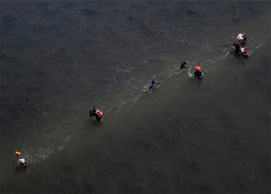 المهاجرون الذين يطلبون اللجوء في الولايات المتحدة يمشون في نهر ريو غراندي