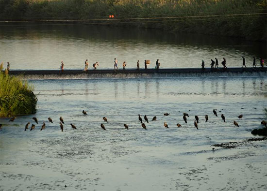 مهاجرون ملتمسون للجوء يسيرون في نهر ريو جراندي