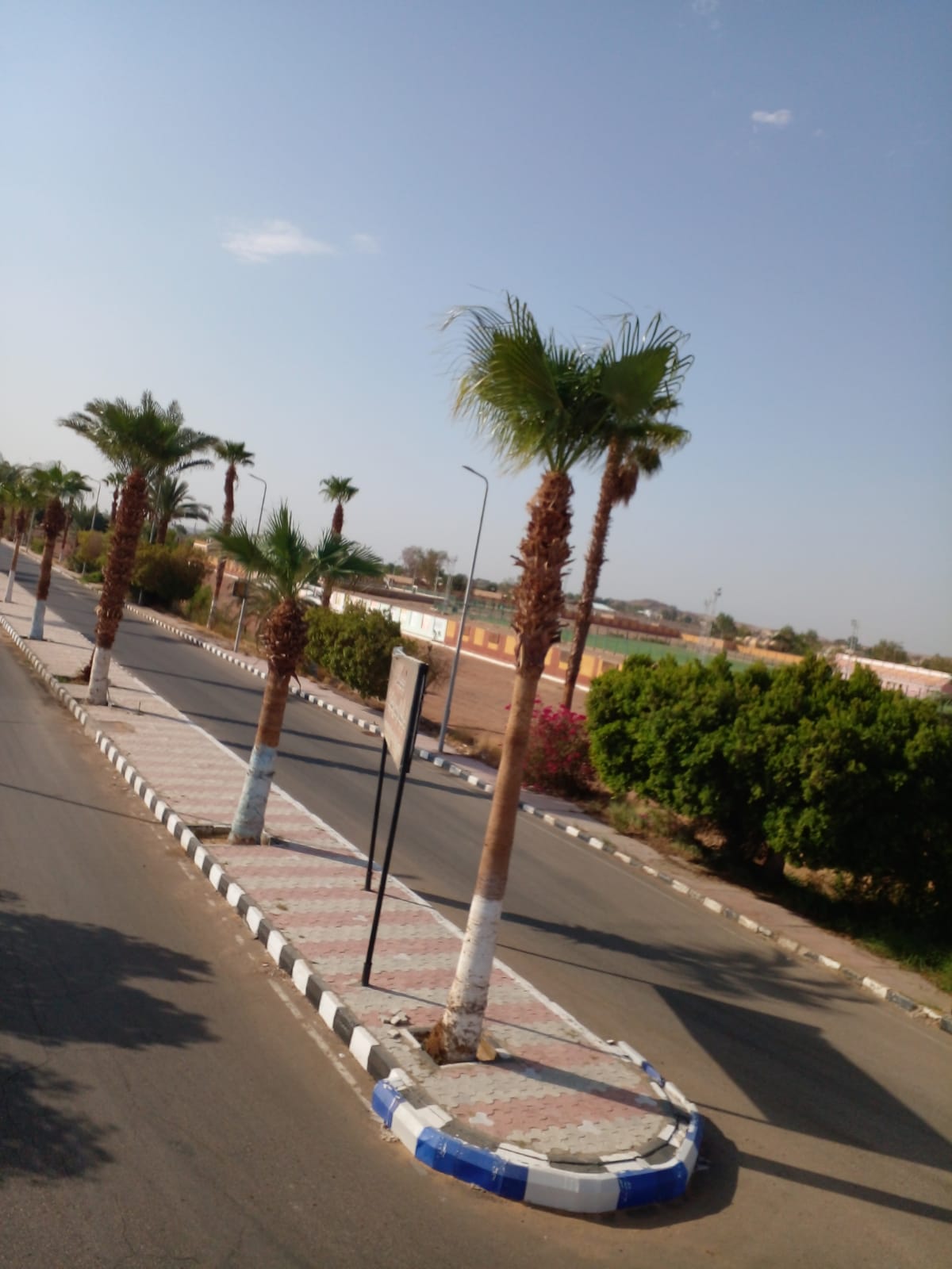 مدينة أبوسمبل السياحية (15)