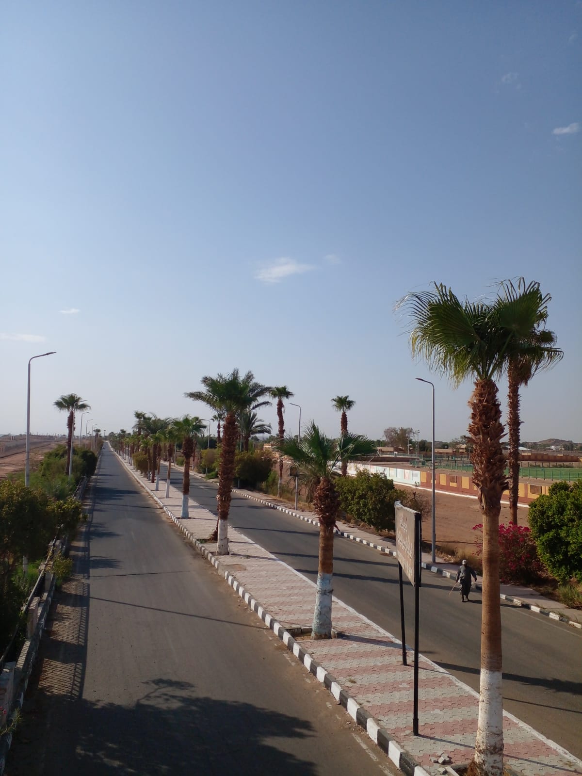 مدينة أبوسمبل السياحية (1)