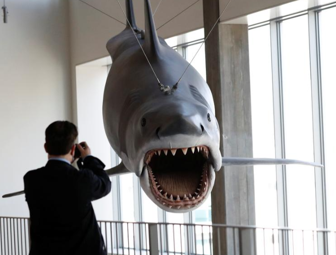 Jaws خلال معاينة إعلامية قبل افتتاح المتحف الأكاديمي للصور المتحركة في لوس أنجلوس