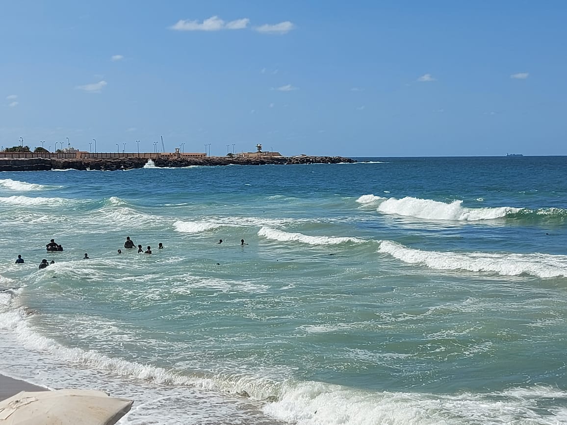 شواطئ الأمواج العالية بالإسكندرية (8)