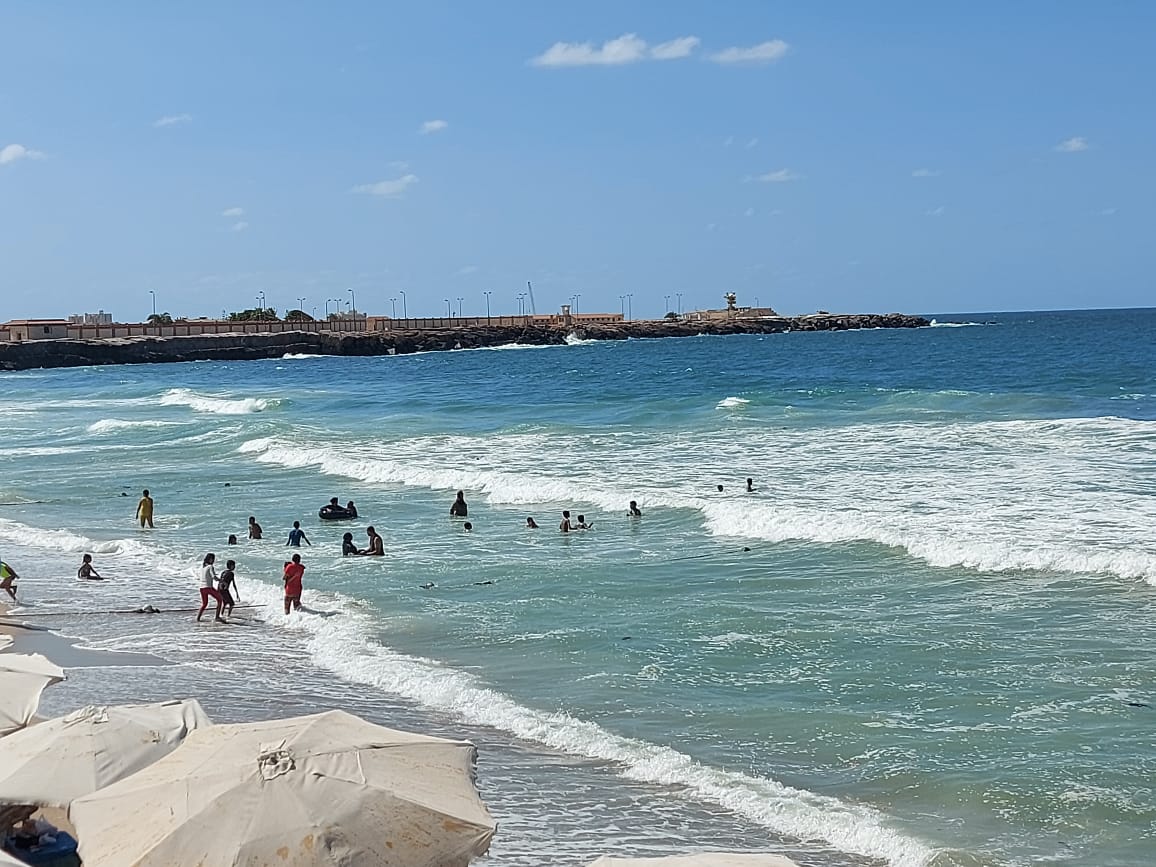 شواطئ الأمواج العالية بالإسكندرية (4)