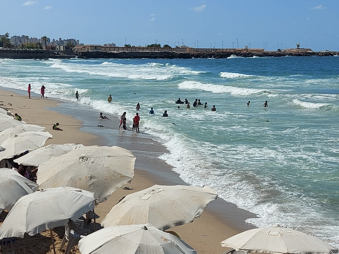 شواطئ الأمواج العالية بالإسكندرية (7)