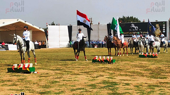 مهرجان-الخيول-في-محافظة-الشرقية