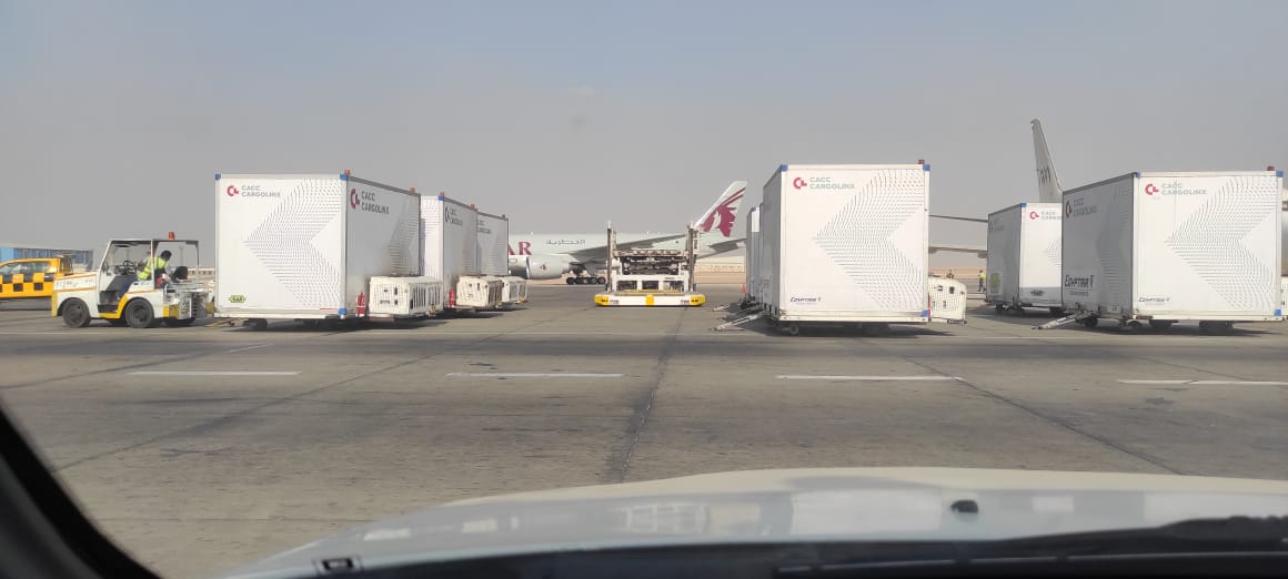 وصول لقاح فايزر لمطار  القاهرة (9)