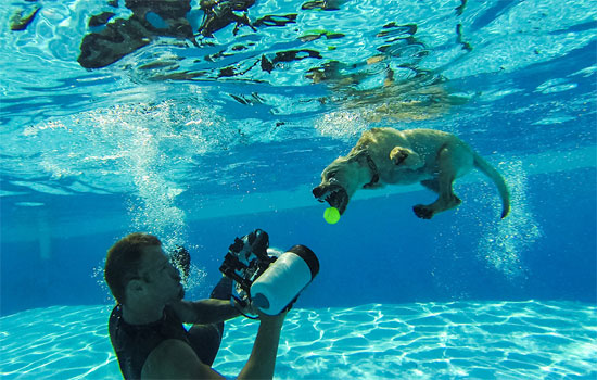1802501-مهارات-المصور-تحت-الماء