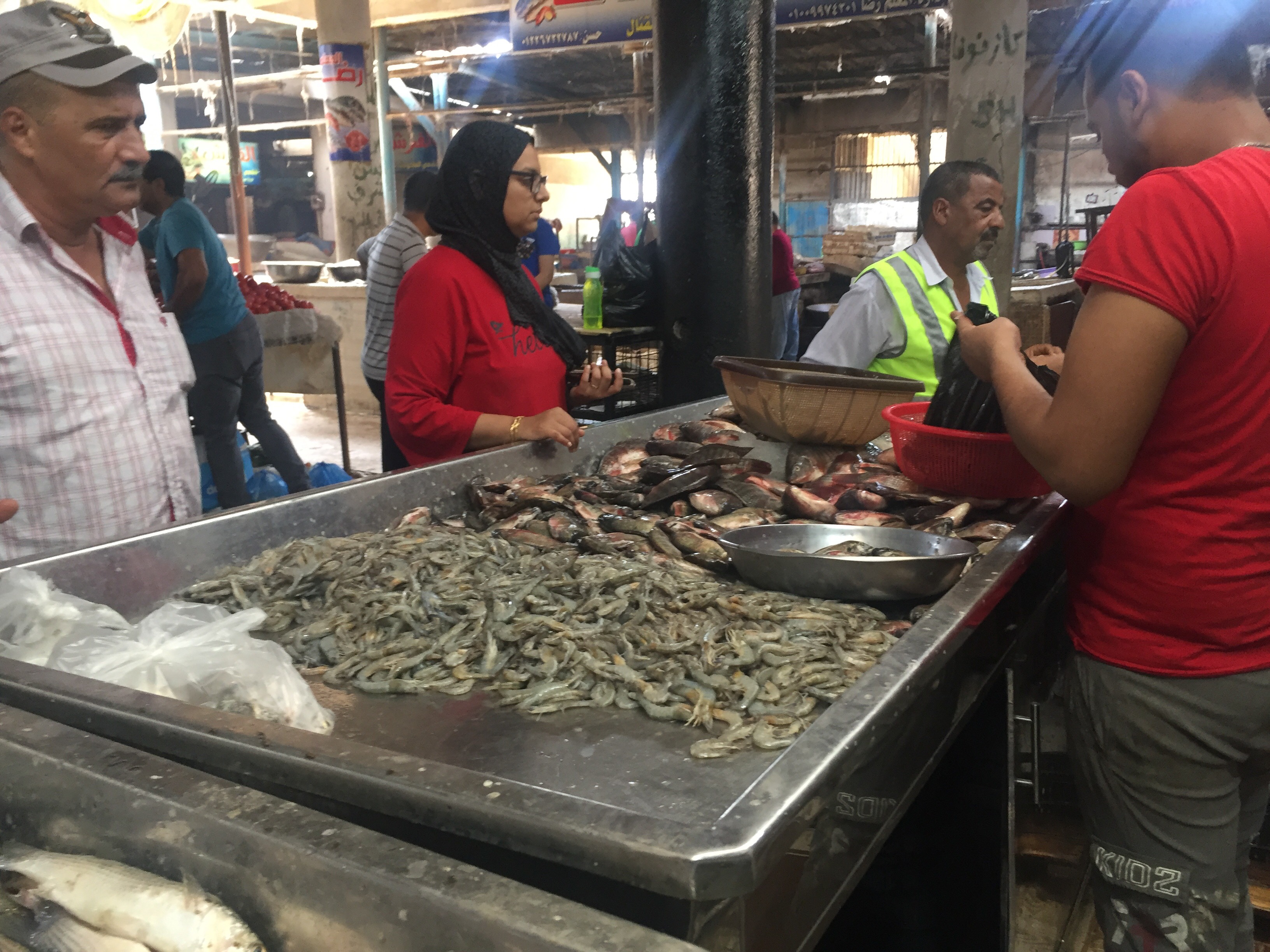  سوق الأسماك في الإسماعيلية (7)