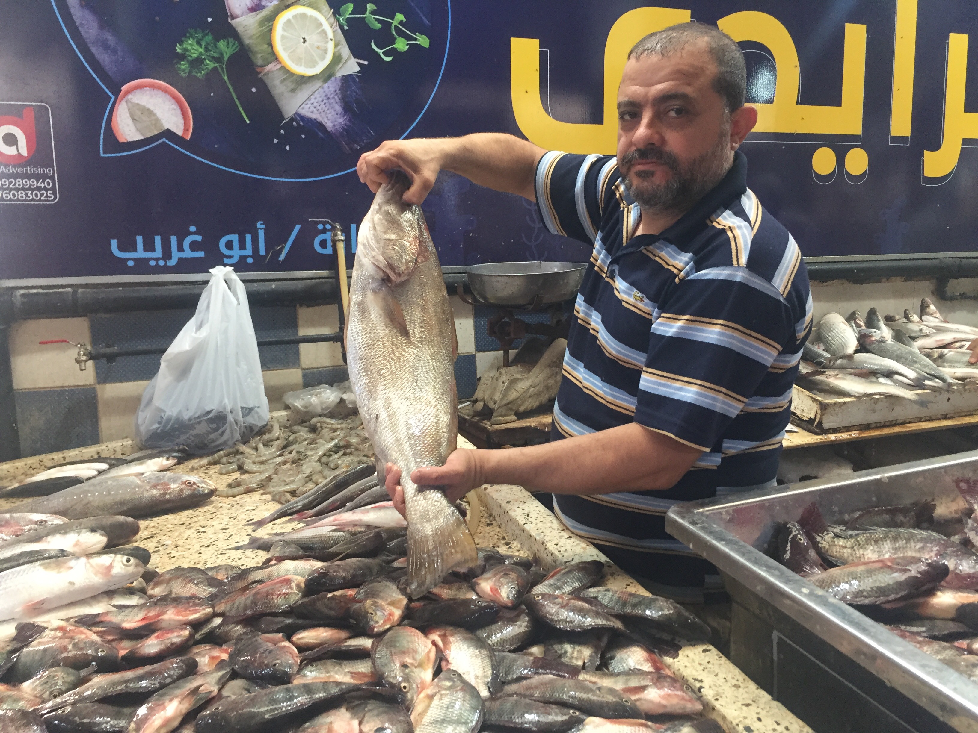  سوق الأسماك في الإسماعيلية (9)