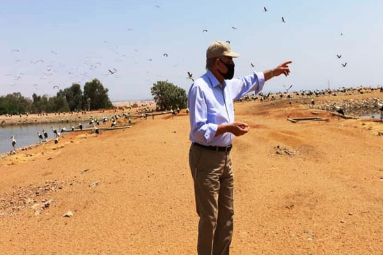 أسراب الطيور المهاجرة (3)