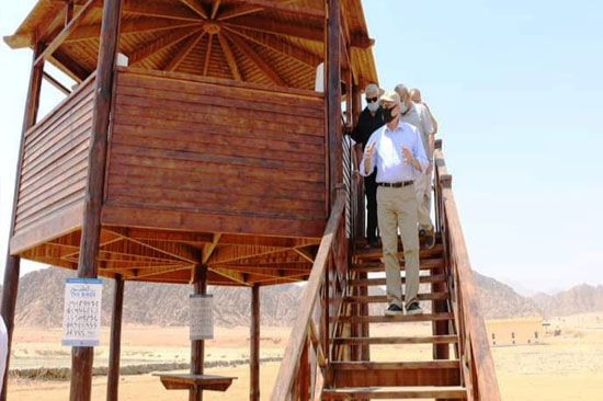 أسراب الطيور المهاجرة (4)