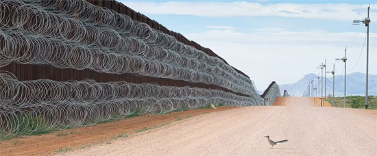 طائر يقف على الحدود بين الولايات المتحدة والمكسيك