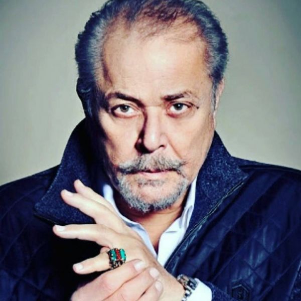 محمود عبد العزيز محمود عبد العزيز
