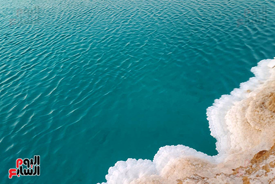 بحيرات الملح فى واحة سيوة (5)