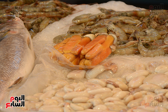 سوق الأسماك الحضارى ببورسعيد (12)