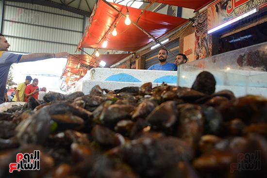 سوق الأسماك الحضارى ببورسعيد (1)