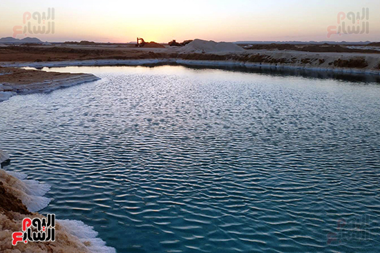 بحيرات الملح فى واحة سيوة (4)