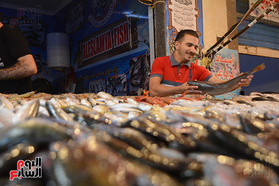 سوق الأسماك الحضارى ببورسعيد (4)