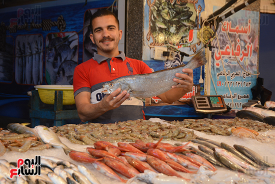 سوق الأسماك الحضارى ببورسعيد (17)