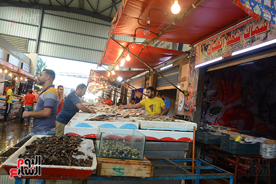 سوق الأسماك الحضارى ببورسعيد (5)