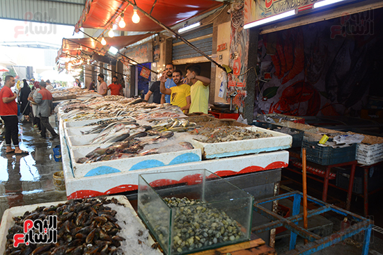 سوق الأسماك الحضارى ببورسعيد (3)