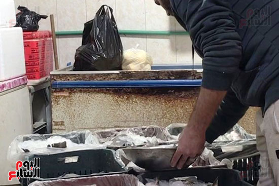 فى--سوق-الاسماك-بالعريش فى--سوق-الاسماك-بالعريش