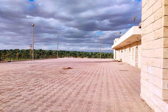 حكاية خط سكة حديد الوادى الجديد (14)