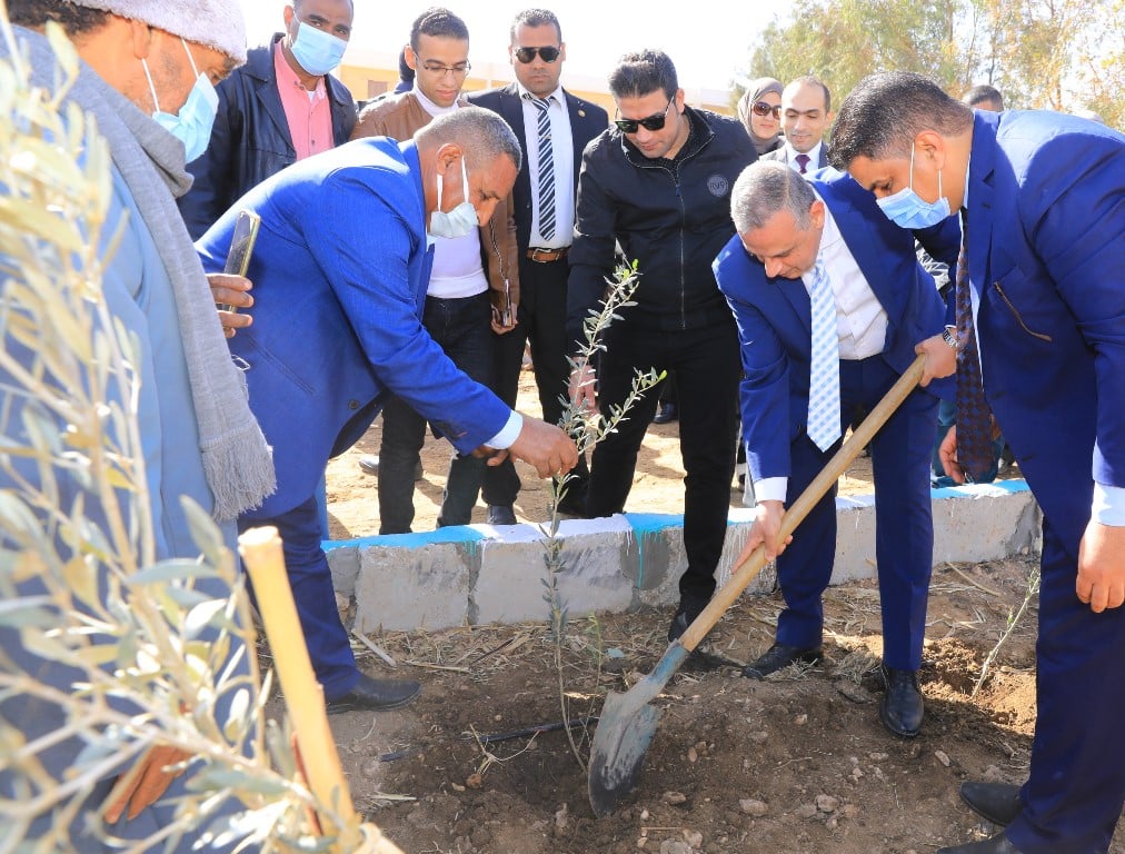 المحافظ يقوم بزراعة شجر الزيتون