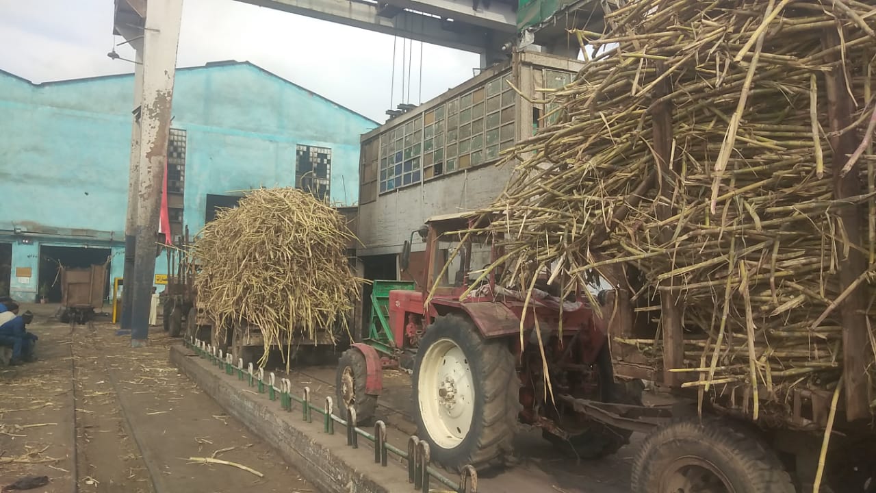 موسم العصير في محافظة قنا من داخل مصنع السكر (9)