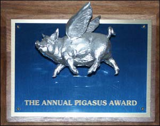 جائزة Pigasus جائزة Pigasus