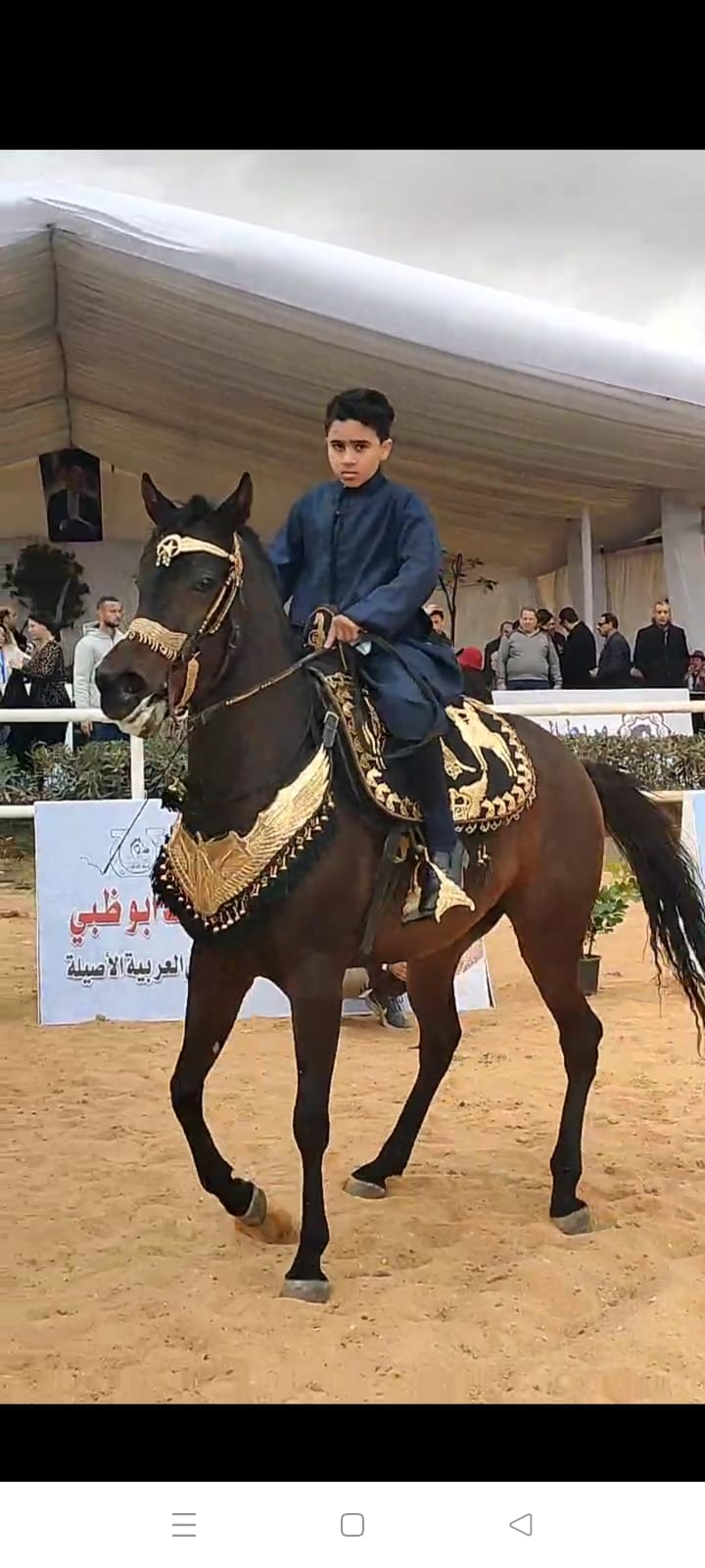 ملتقي الحصان العربي (1)