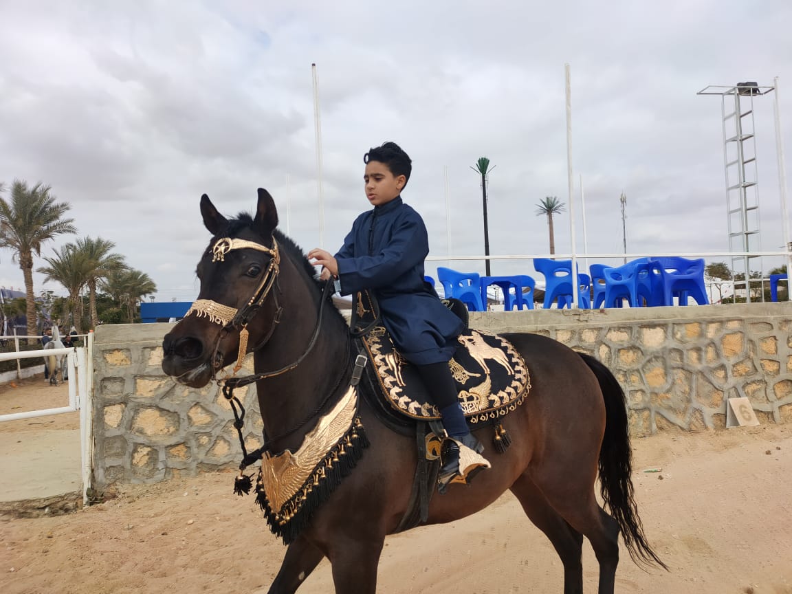ملتقي الحصان العربي (10)